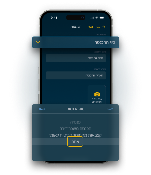 בחירת סוג הכנסה