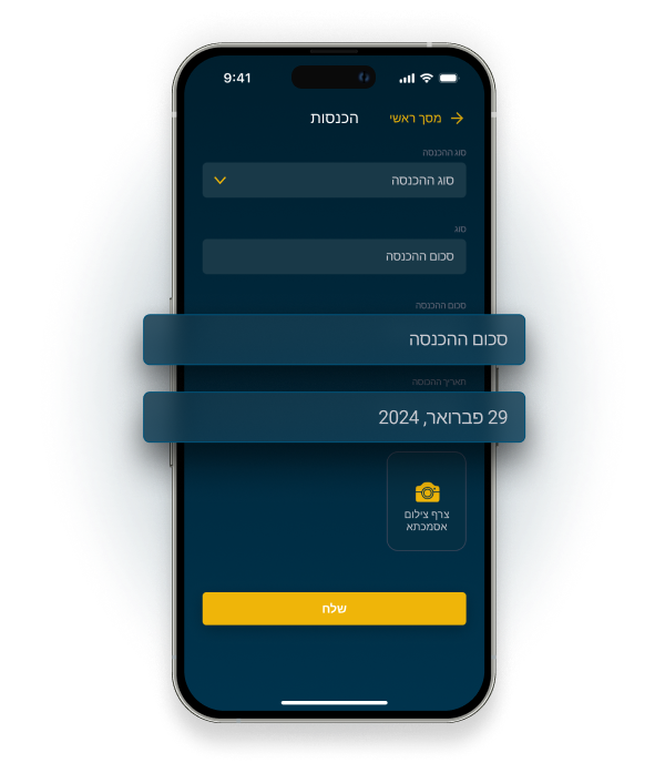 הזנת סכום ותאריך ההכנסה