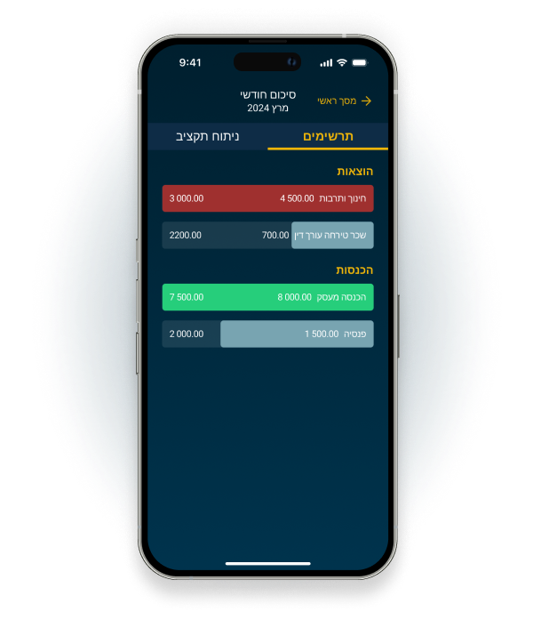 תרשימים של הוצאות והכנסות